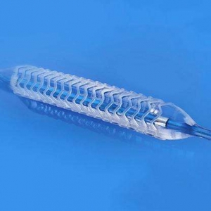 չڠ}ˎϴÓ֧Rԇָԭt