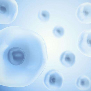 ʽt(y)еO(jin)Ҏ(gu)ԇУʽl(f)