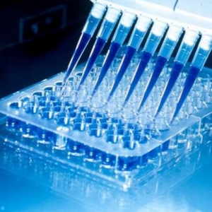 w\ԇע(c)a(chn)Ʒf(shu)(sh)ĳҊ(jin)(wn)}()