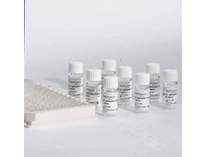 TᰱD(zhun)øyԇעԼg(sh)ָ(do)ԭt