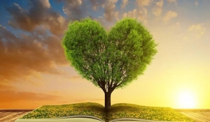 (lin)W(wng)t(y)ؕI(xin)