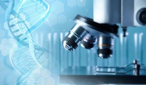 ������������t(y��)����е��(chu��ng)������