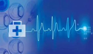 ������������t(y��)����е��(chu��ng)������