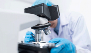 �ǻ��B�ӡ�������(chu��ng)δ���t(y��)�����