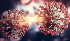 �����l(f��)����(y��u)���¹ڲ�����Ⱦ�����ί��M���t(y��)���������P����֪ͨ