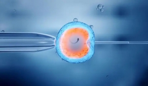 ��،��o����ֳ�t(y��)������(w��)�Ŀ�{���t(y��)��