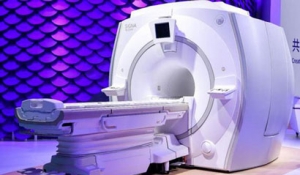 �¼��g(sh��)���m(x��)�����t(y��)�����|(zh��)���l(f��)չ